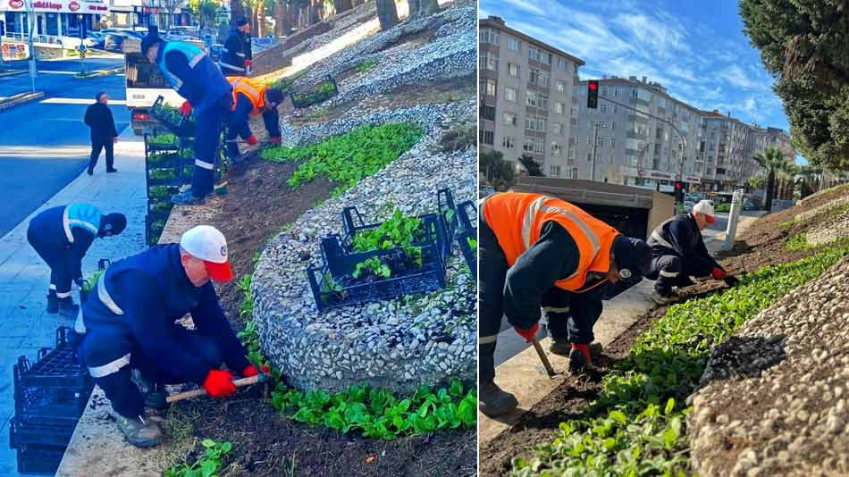 GEBZE'DE ÇİÇEK EKİMİ YAPILIYOR