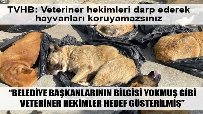 TVHB: Veteriner hekimleri darp ederek hayvanları koruyamazsınız